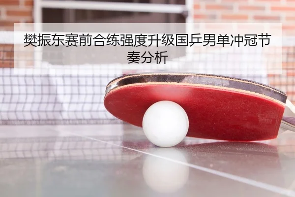 樊振东赛前合练强度升级国乒男单冲冠节奏分析 | mksportsapp