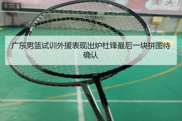 广东男篮试训外援表现出炉杜锋最后一块拼图待确认 | mksportsapp